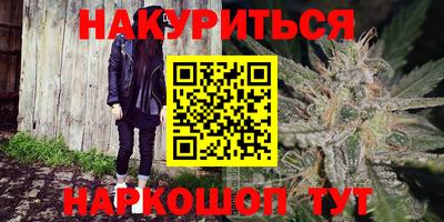 крисы Пенза