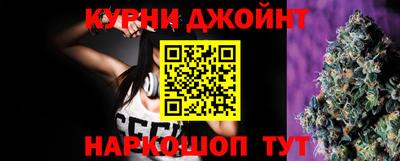 крисы Пенза