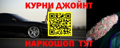 крисы Пенза