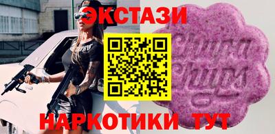 крисы Пенза