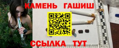 крисы Пенза