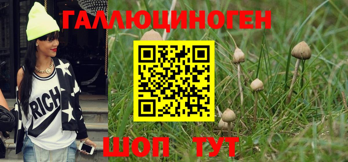 Псилоцибиновые грибы Psilocybine cubensis  Вход с VPN  Сарапул  Псилоцибиновые грибы мухоморы 